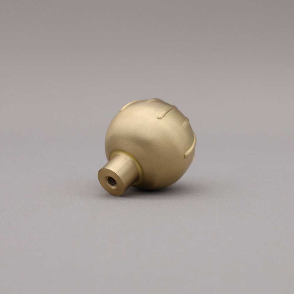 Back view of satin brass round cabinet knob on gray background.