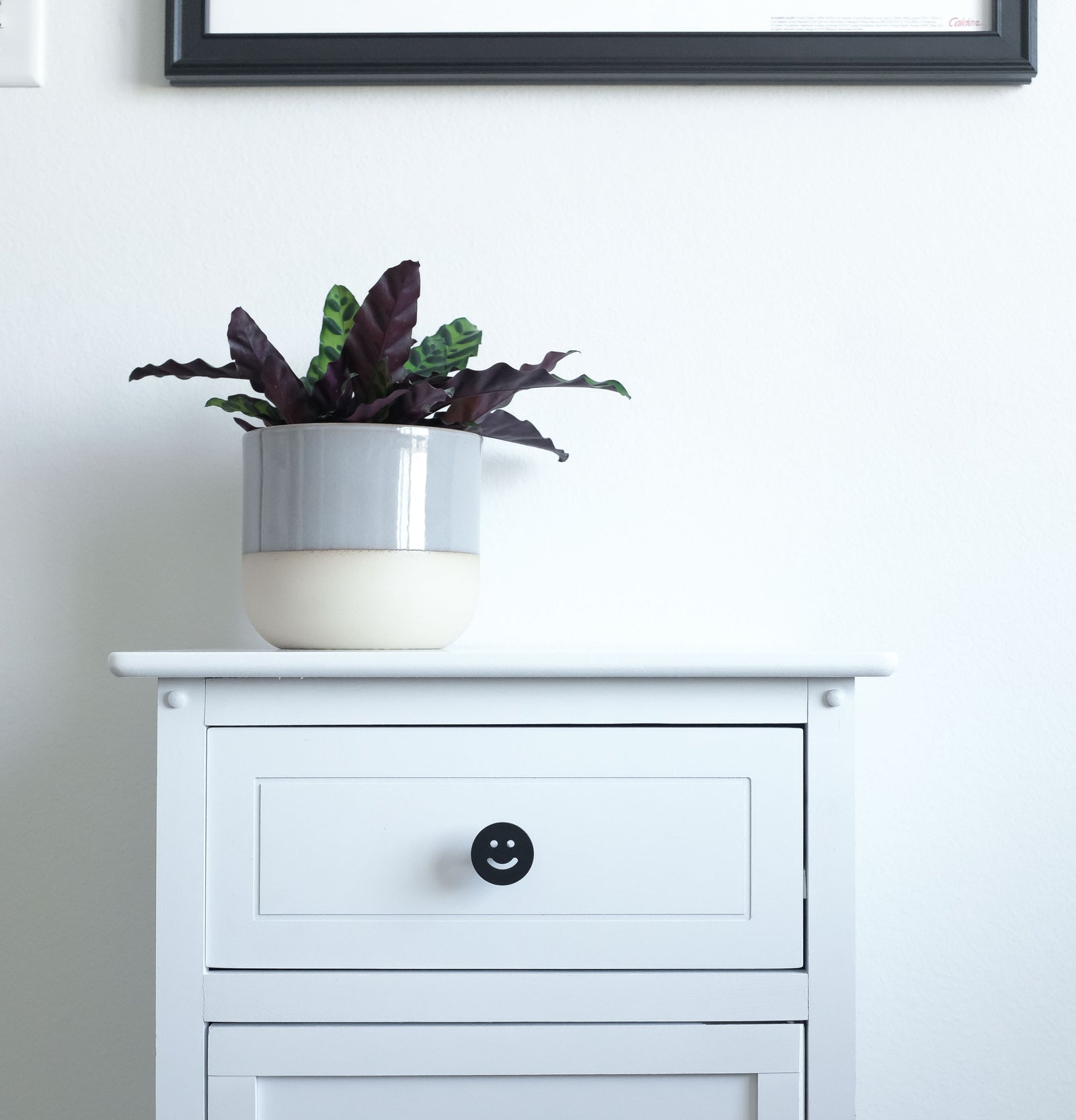 Black acrylic knob on white dresser drawer with plant in white pot in bedroom.