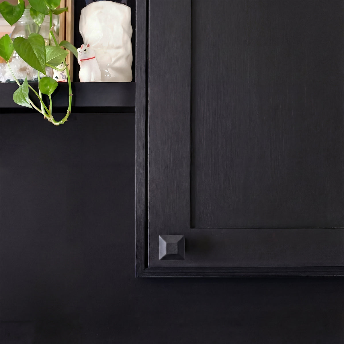 Close-up of a black cabinet with a decorative knob and a plant in the corner.