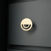 Satin Brass Hapny Horizon knob installed on small square blue drawer